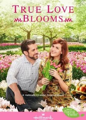 ����� ���������� ������ (2019)