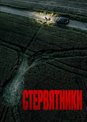 ����������� (2025)