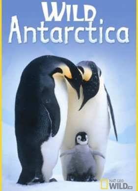 ����� ���������� (2015)