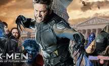 � ����� ���: ����������� ������� �������� ������