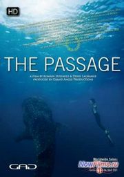 ������� � ������ (2012)