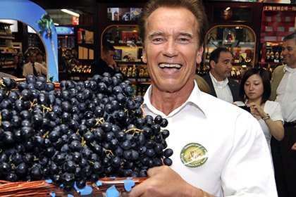 ������������ �� ������������ ��������������