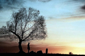 25 ��� ������ ������������ ������ �������. ������ ����� � ������ ������ �����.