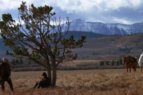 25 ��� ������ ������������ ������ �������. ������ ����� � ������ ������ �����.