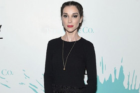 ������� ������ ��������� ������� ����� ������������ ������ St. Vincent