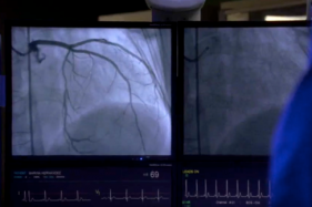 ������ ���������� �������: ��� ������ ����� ���� ��������� ������