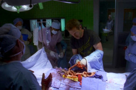 ������ ���������� �������: ��� ������ ����� ���� ��������� ������