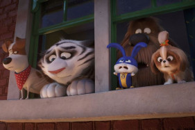 ��� ������� ����������� ������� � ���������� �������