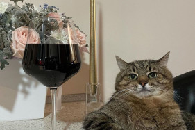 ������ ����� ��������� ����� � ����