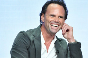 ������� ���� � ����������� Fallout �������� ������ �������