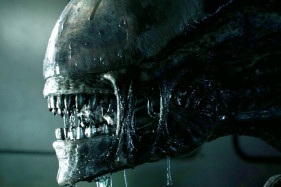 ������� ��� ���� ������� ������ �������