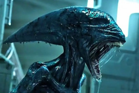 ����� ������: ����� ����� �������� ���������� - ������ �������� �����