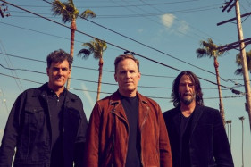 ����� ���� ������� ����� ���� � �������� � ������ - ������ Dogstar ������� ����� ������