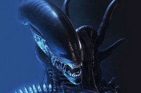 ������ ������ �������� � ������� ��������� ��-�� ����������