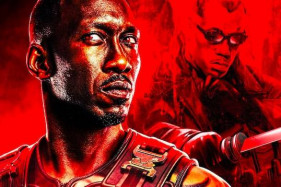 �������� ������� ������ ������ ������ � ���������� ���