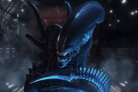 ������ ������ ������� �������������� �������� "�����" ������������� �� 2024 ���.