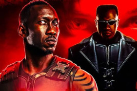 ��������� �������� ������ '�����' � ���������� ���: ����� ���������� �� ���������